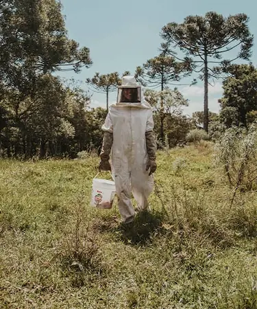 ¿Qué es la apiterapia? Descubre los beneficios de los productos de las abejas en laurasan